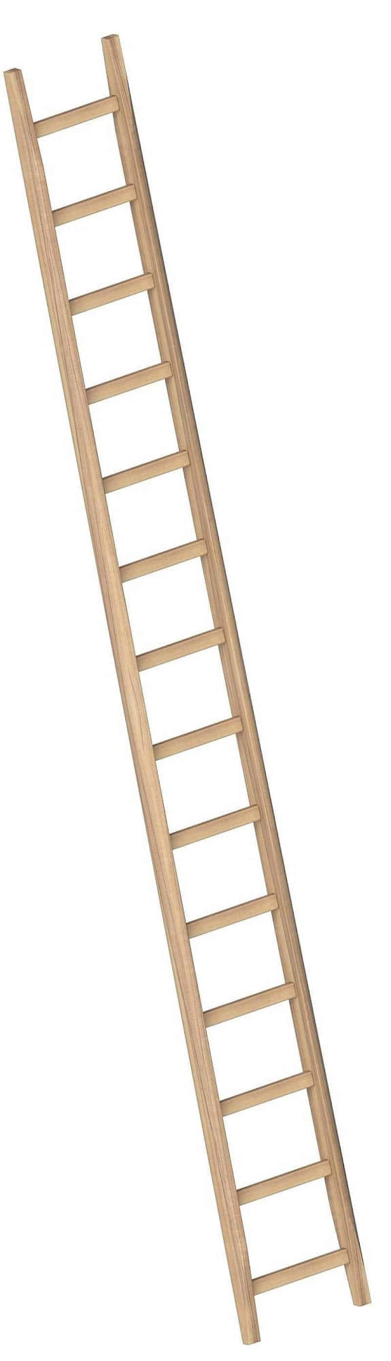 Layher Bau-Holzanlegeleiter 1036010