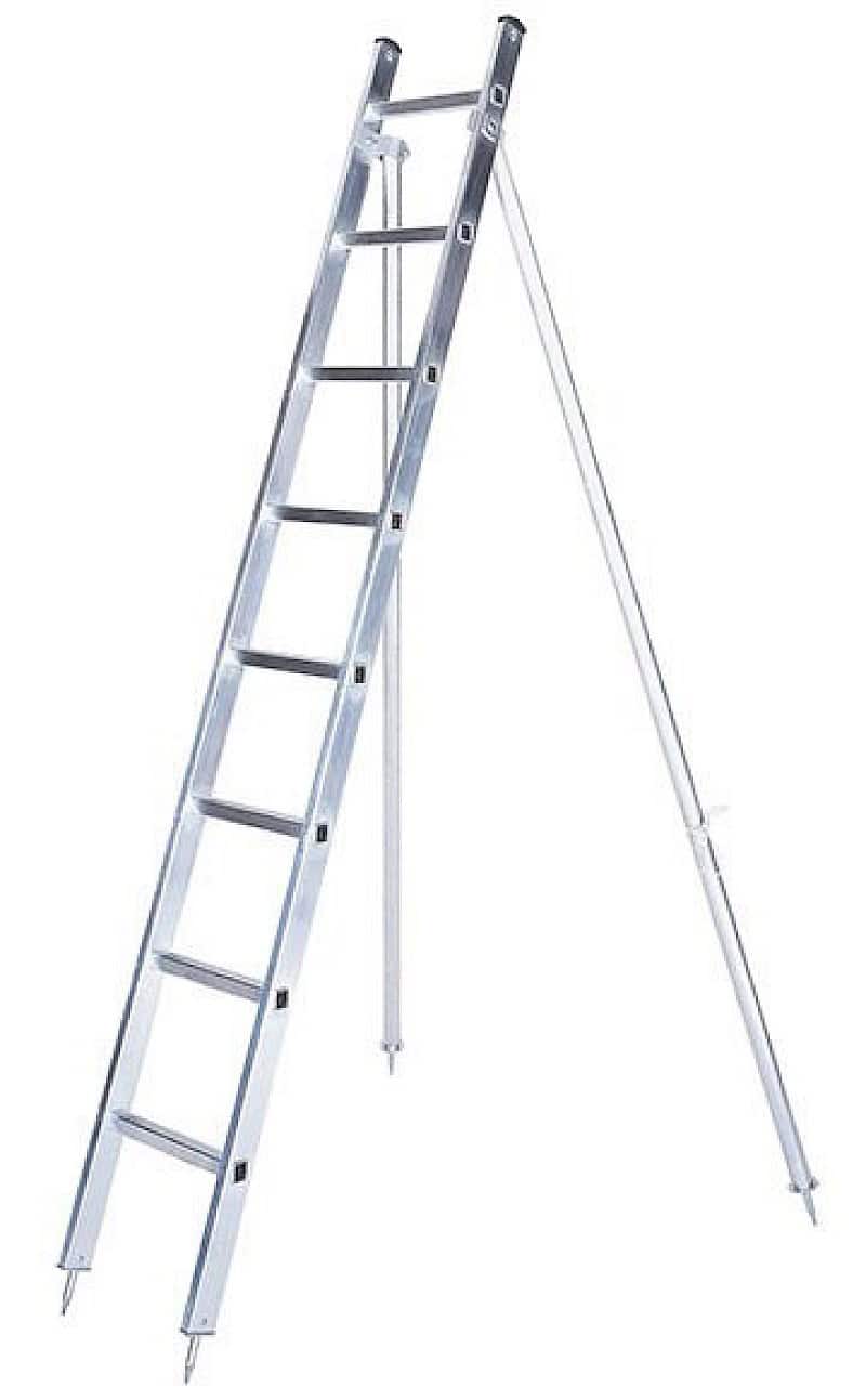 Iller Obstbaumleiter 1-teilig 6608