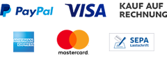 PayPal, VISA, SEPA, Rechnung und mehr